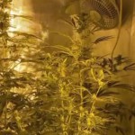 Выявлена подпольная лаборатория Криминал