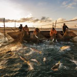 И рыбку съесть, и косточкой не подавиться… Криминал