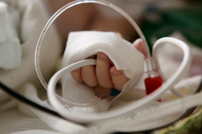 975nzl9c96adgb4s7mkmsgammcz8gf9h