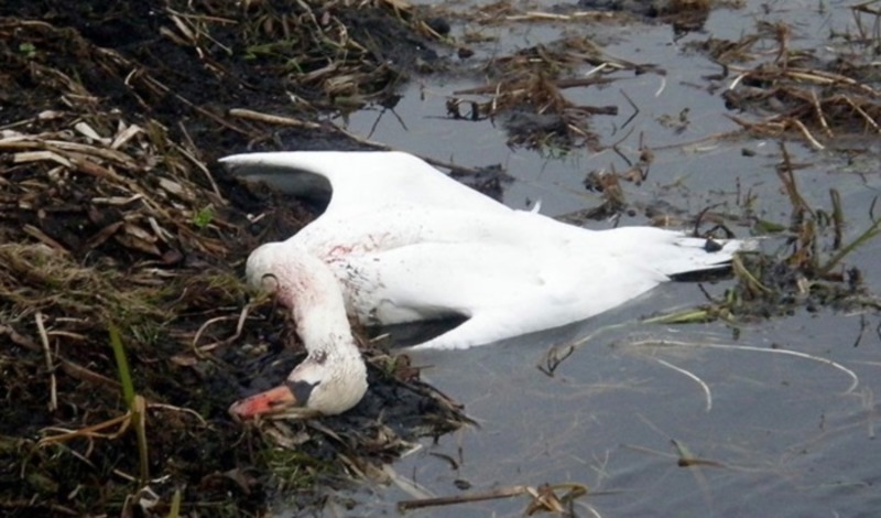 1614634142_1614605053_imgonline-com-ua-resize-janbavkj0d