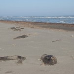 21 мая 18-19(791-792) 2021