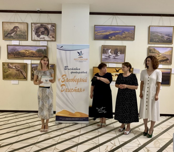 5d746976769e88a417de5dac628001b2