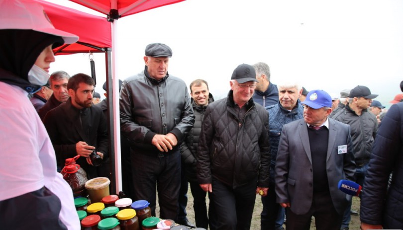 2cbbf91f9cd2ffd3c0241af3c01c03fd