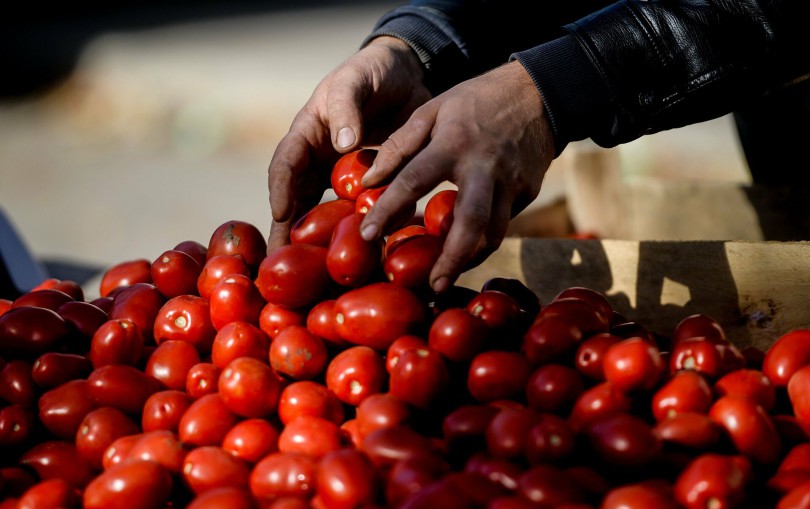 9398455_0_57_3076_1990_1920x0_80_0_0_edf1105e869e2c06836f8b152ba99dab