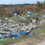 Несанкционированная свалка Новости