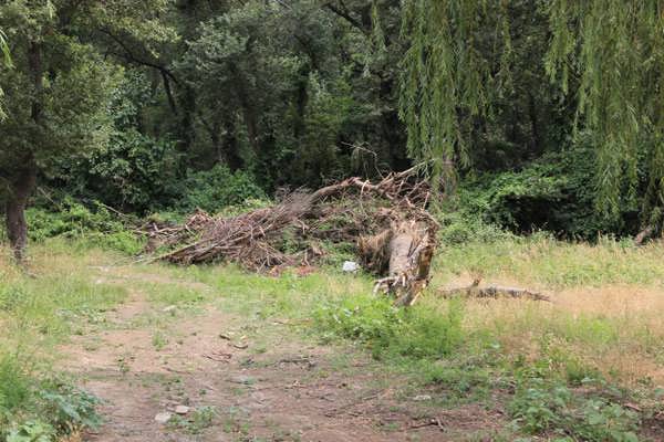 48138e1cac65d008d9220497270ef664