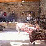 Луч надежды Новости