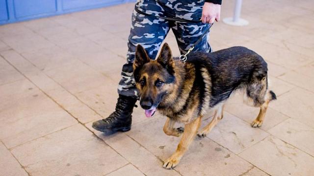 b8f76e78fed900ec223826971414aa49