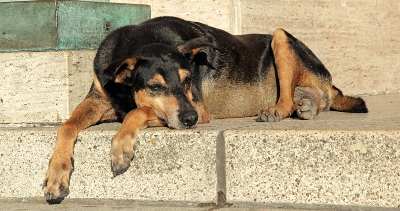 nBkSUhL2hFIimc6xLr6BosSyyJ2gp8TrlnTclb7P73OHezeOWXiSxTZt4slI-BHBsdWR_G-JLsV0=FYbnKQCHPXfbInfLy1Uwkg