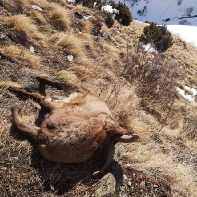 obzor-io220207-Photo_2022-02-07_08-17-44