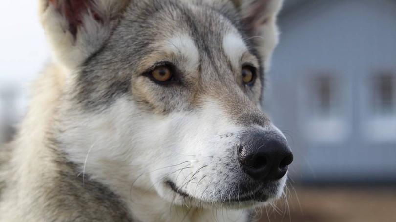 orig-1643877190hMLRjuVEDvNl5vQnTi8kw3oPlSfXZ91lxIrqnI7Z