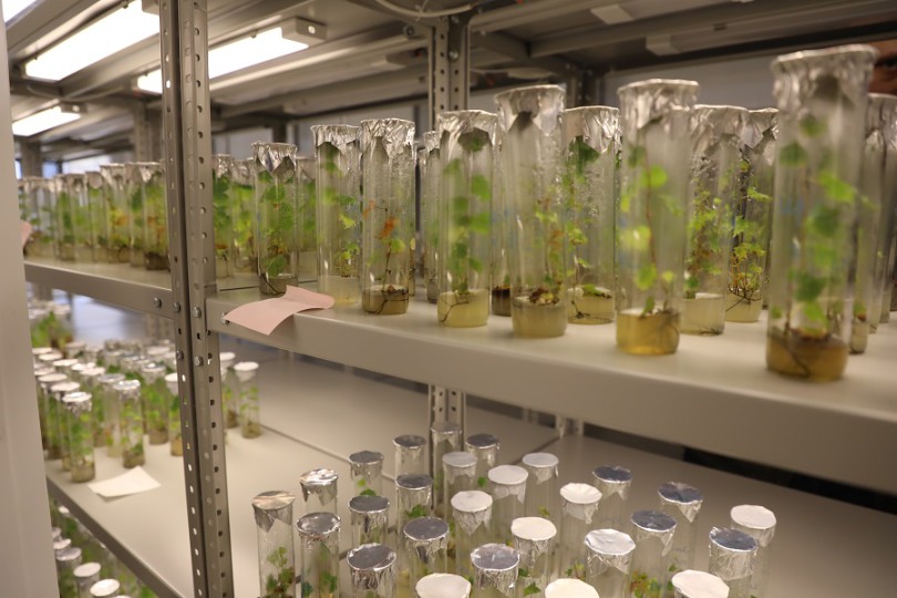 5e2984421758d6a08acad84cd521014a