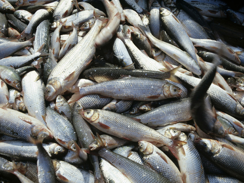 f20de3e81f1c457926398346889800f3