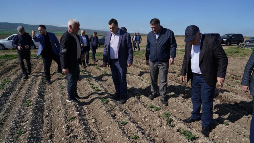 246131f7138b5e910582bbc427de00ab