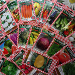 Семена для всей России Новости