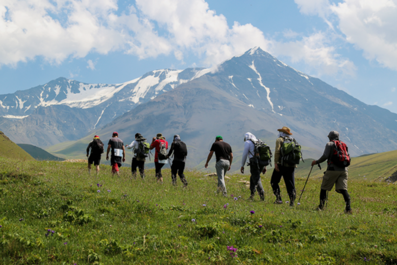 wide_167dfa9c109e3c8c86cd54defeccd288