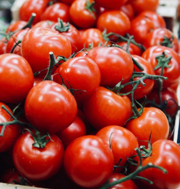 marc-mueller-437878-unsplash-e1548807715811-979x1024