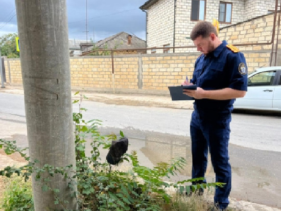 f1104700cc09ba0622697e35595c97ee (1)