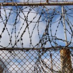 Убийство в колонии Новости