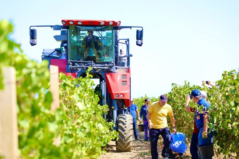 f0d7cd6a8d00b6d0a18533c5975731fd