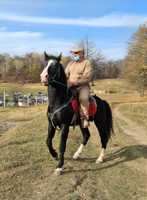 photo_2020-10-28_16-13-56