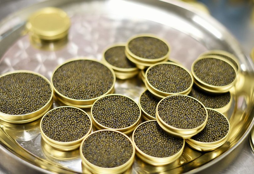 01109055a128978d89206929d225df7f