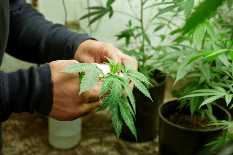 1599077983-GettyImages-969865722