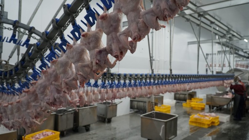 1a012471b95422e276c94fa0eb0ebca1-1024x576