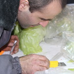 Запрет на ввоз Новости