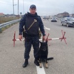 Служебная собака помогла полицейским в Дагестане найти наркотики Криминал