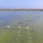 Рыбалка в Дагестане Новости