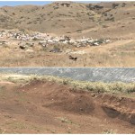 Ликвидированная свалка Новости