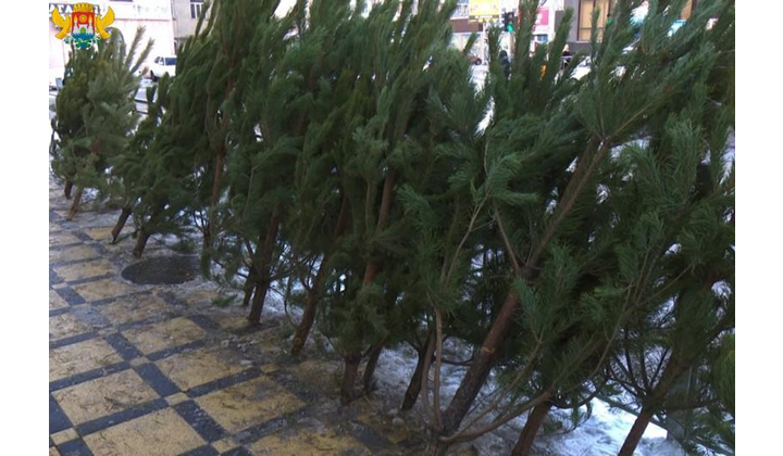 f4d31035ff2d4e4ab7fd2e400566a9f9