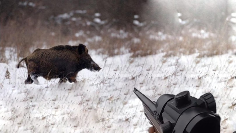 zoobusiness.kiev_.ua_-1024x576