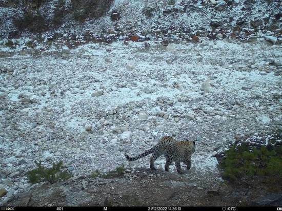 d3a5724888ab4ca75f75b1cc5b948fe4