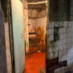 Фото к тексту_2_www.onf.ru