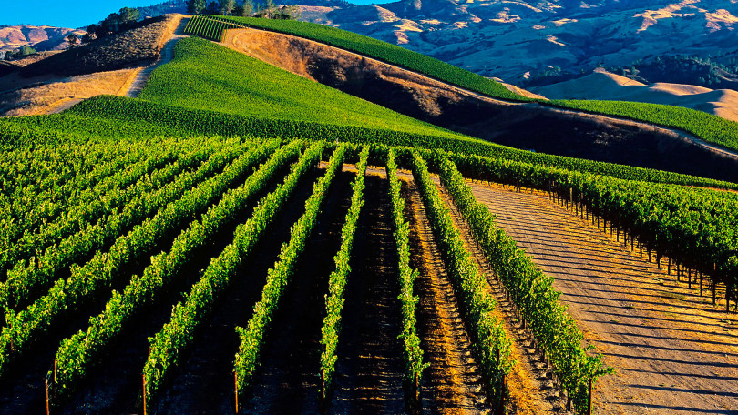 destinazione-Marche-Italia-matrimonio-ambientazione-straordinaria-scenario-naturale-unico-wedding-exclusive