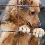 07 Апреля 14 (892) 2023