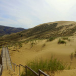 Обновленная тропа Новости