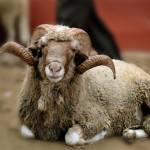 Праздничные дни Новости