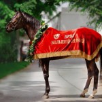 Большой летний приз Новости