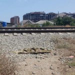 Трагедия на путях Новости