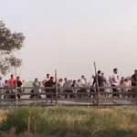 18 Августа 33 (910) 2023