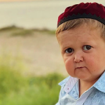 Прокурорская проверка Новости