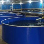 Производство аквакультуры 08 Декабря 49 (926) 2023