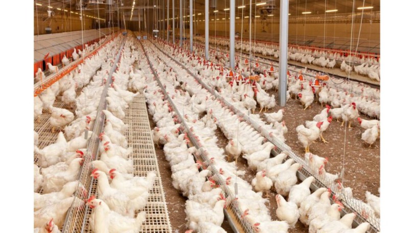 f9rvqbgwccz2jyqph4fnly9kezamim6rc2471zfd-copy-1024x576