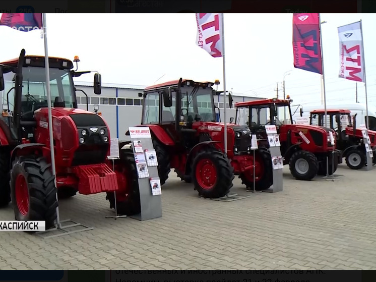 3d8761f9bdf5522c919d5fde6a255517