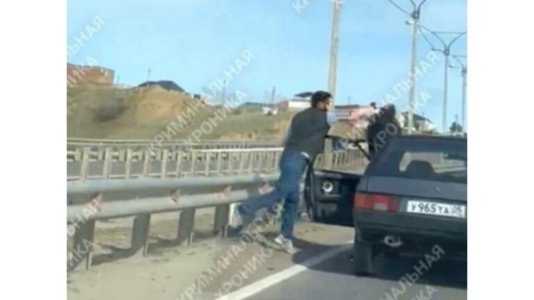 result_image_small398732-copy-768x432