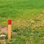 26 июля 30 (958) 2024