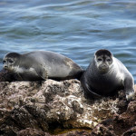 Важная работа 23 августа 34 (962) 2024